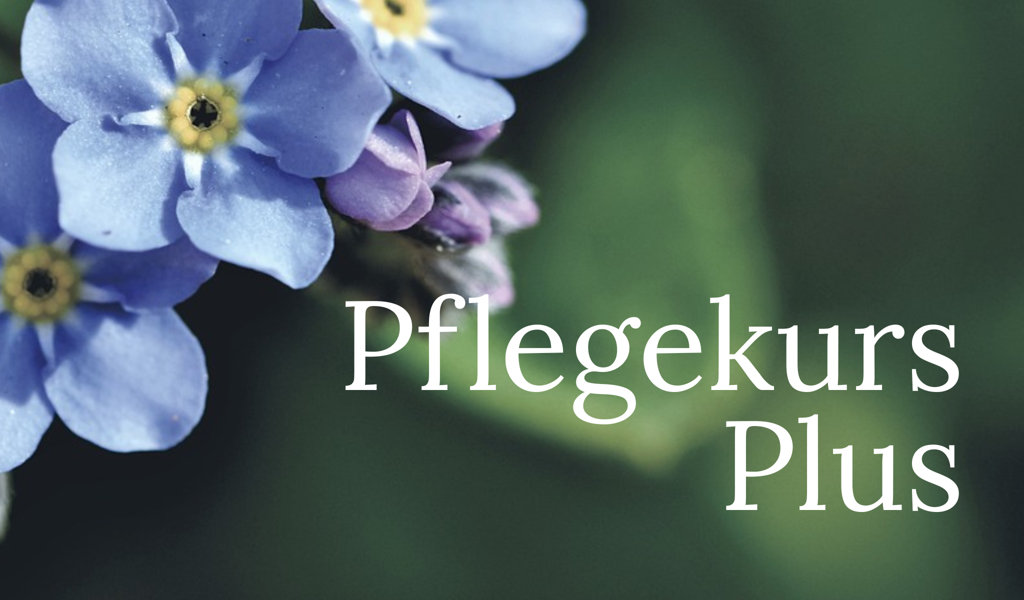 Pflegekurs Plus 2 am Mittwoch